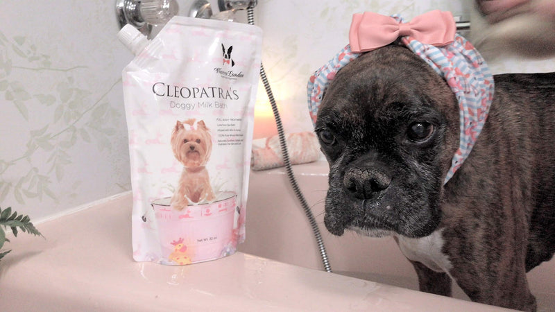 [Australia] - Warren London Cleopatra's Doggy Milk Bath - Luxurious Spa Formula That Cleans, Soothes, Softens - Soak or Spray On - 32oz 