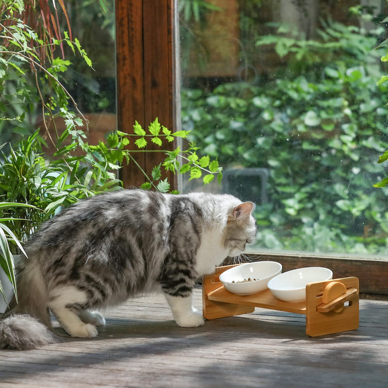 FUKUMARU Elevated Cat Bowl for Cats, Small Dogs, 15° Inclined Elevated Food Bowl, Bamboo Water Stand Bowl Set, Height Adjustable - PawsPlanet Australia