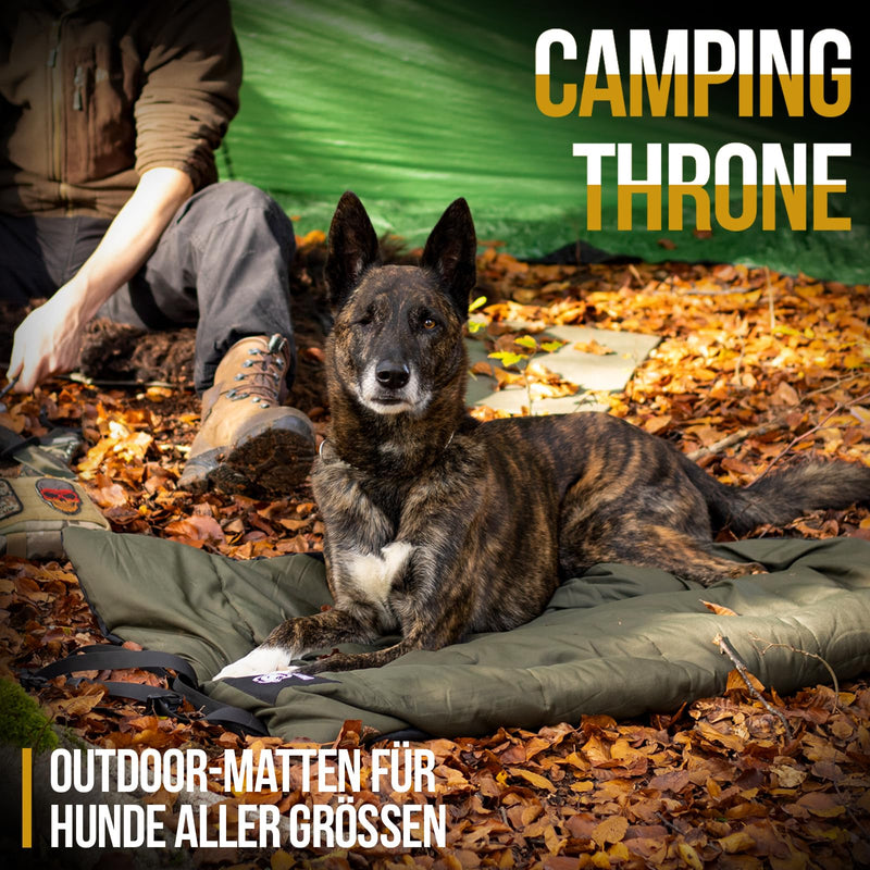 OneTigirs Dog Bed Washable Dog Blanket Dog Mat for Travel Camping Outdoor, 110cm x 68cm - PawsPlanet Australia