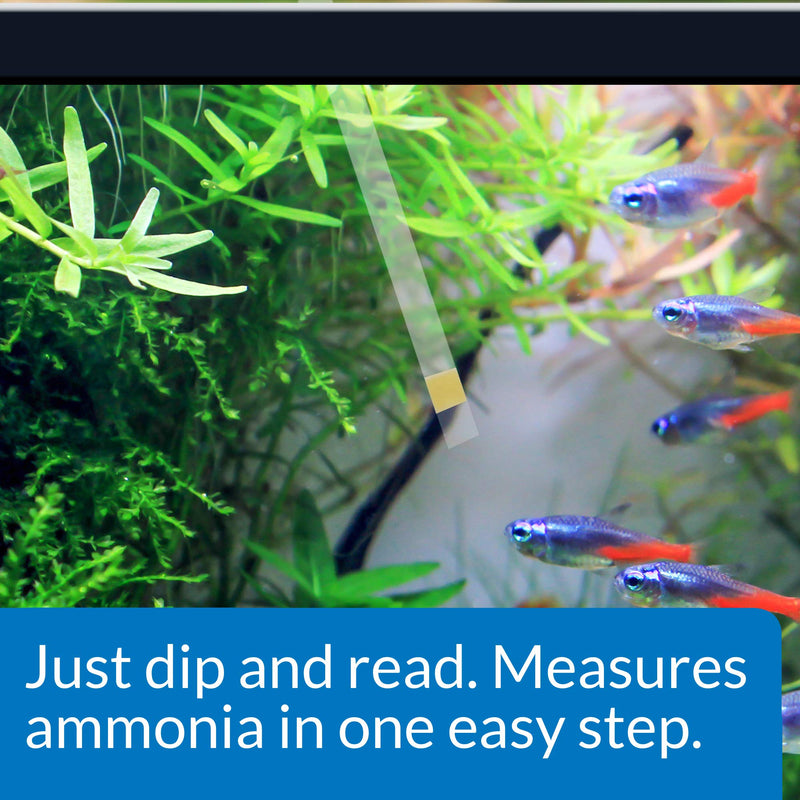 API AMMONIA TEST STRIPS Freshwater and Saltwater Aquarium Water Test Strips 25-Test Box, Model:33D - PawsPlanet Australia