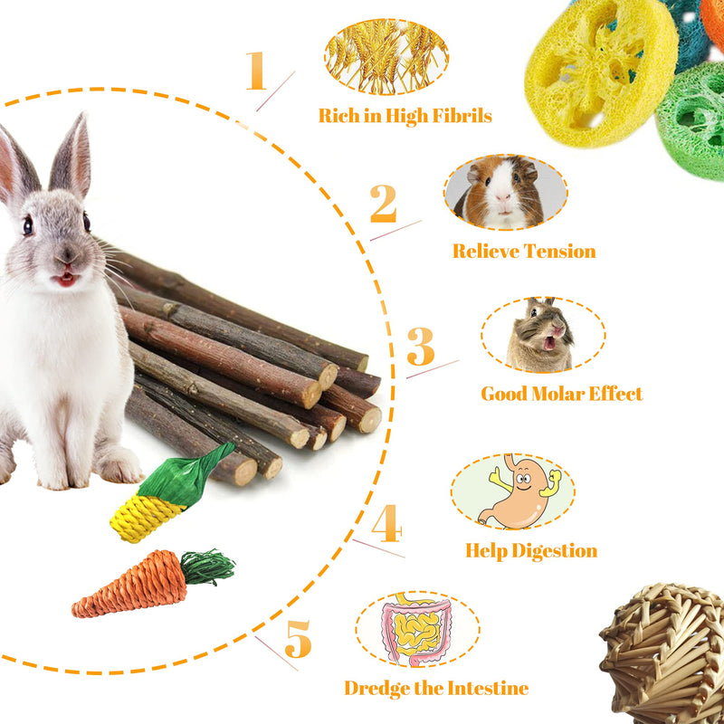 Epessa Rabbit Chew Toys Set, Apple Sticks, Natural Loofah Brass Ball Toys, Carrot & Corn Toy for Dental Health with Storage Bag - PawsPlanet Australia