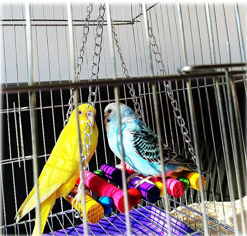 [Australia] - CocoGo Bird Toy for Parrot,Swings,Ladders for Pet Trainning Swings 