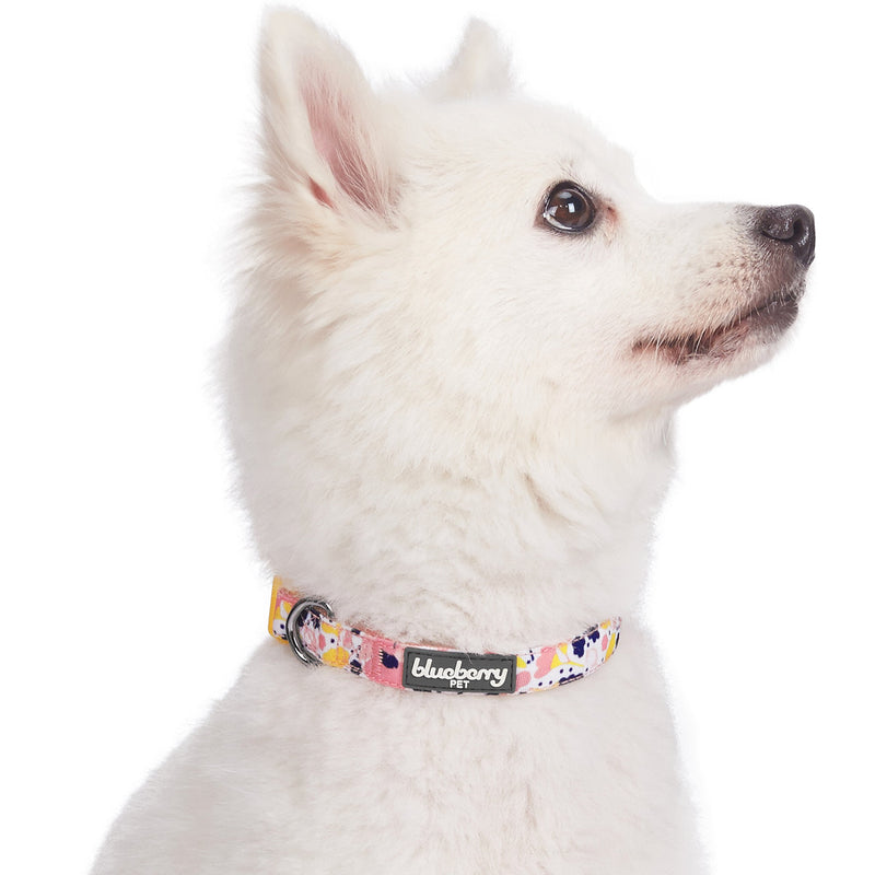Blueberry Pet 5 Patterns Made Well Floral Dog Collars Collar - (18"-26") Neck * 1" Wide Creamy White - PawsPlanet Australia