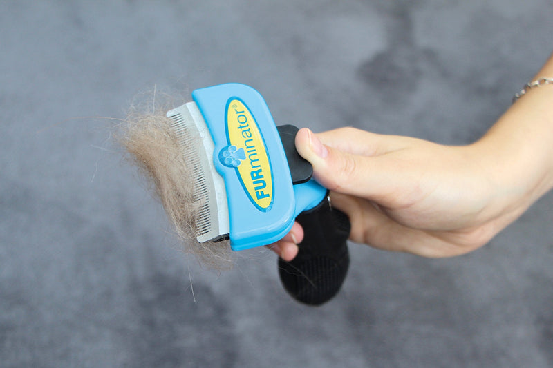 FURminator DeShedding Tool for Dogs FURflex, Head and Handle for All Hair Dogs Up to 9 Kg S Head + handle pack - PawsPlanet Australia