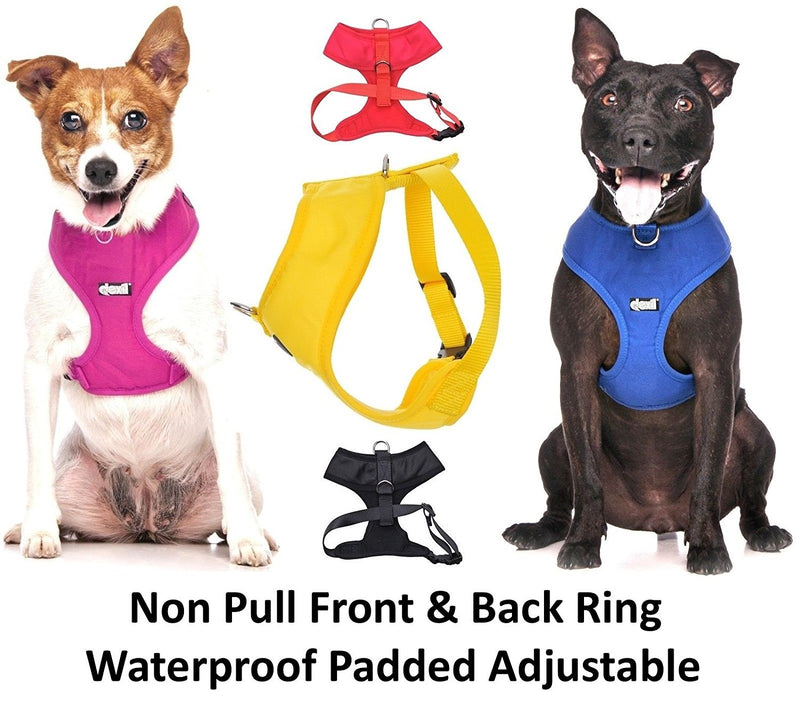 [Australia] - SERVICE DOG (Do Not Disturb/Dog Is Working) Blue Color Coded Non-Pull Front and Back D Ring Padded and Waterproof Vest Dog Harness PREVENTS Accidents By Warning Others Of Your Dog In Advance Small Harness 15-24inch Chest/Girth 