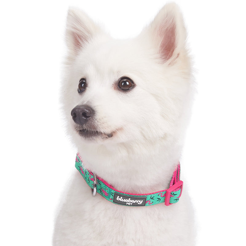 [Australia] - Blueberry Pet Essentials 10 Patterns Zoo Fun Dog Collars, Harnesses or Leashes Regular Collar - Large Pink Flamingo 