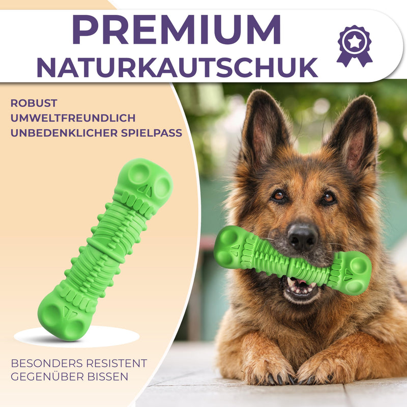 SAMNIS® - dog chew toy - green - particularly robust premium natural rubber - indestructible dog toy with normal chewing - squeaky dog toy for medium & large dogs - PawsPlanet Australia