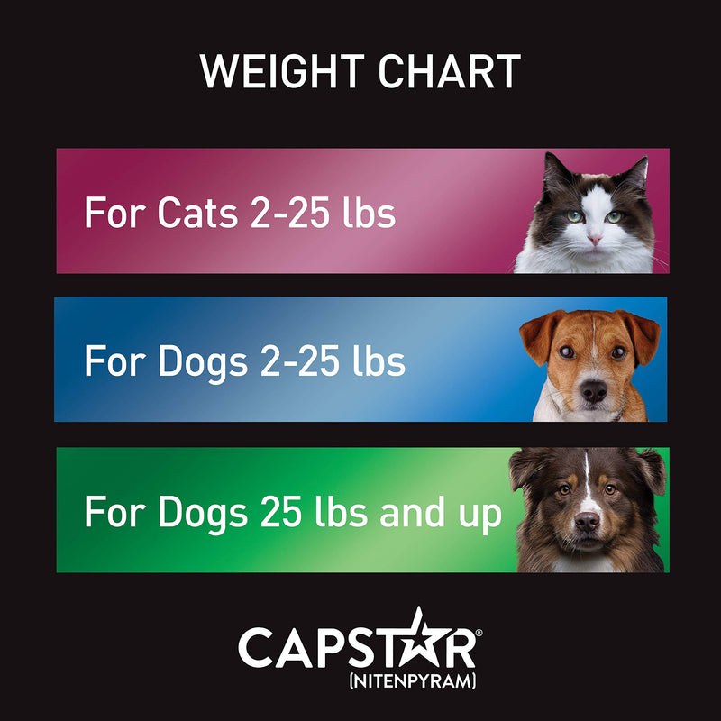 Capstar Fast-Acting Oral Flea Treatment for Dogs Small Dogs, 2-25 lbs - PawsPlanet Australia