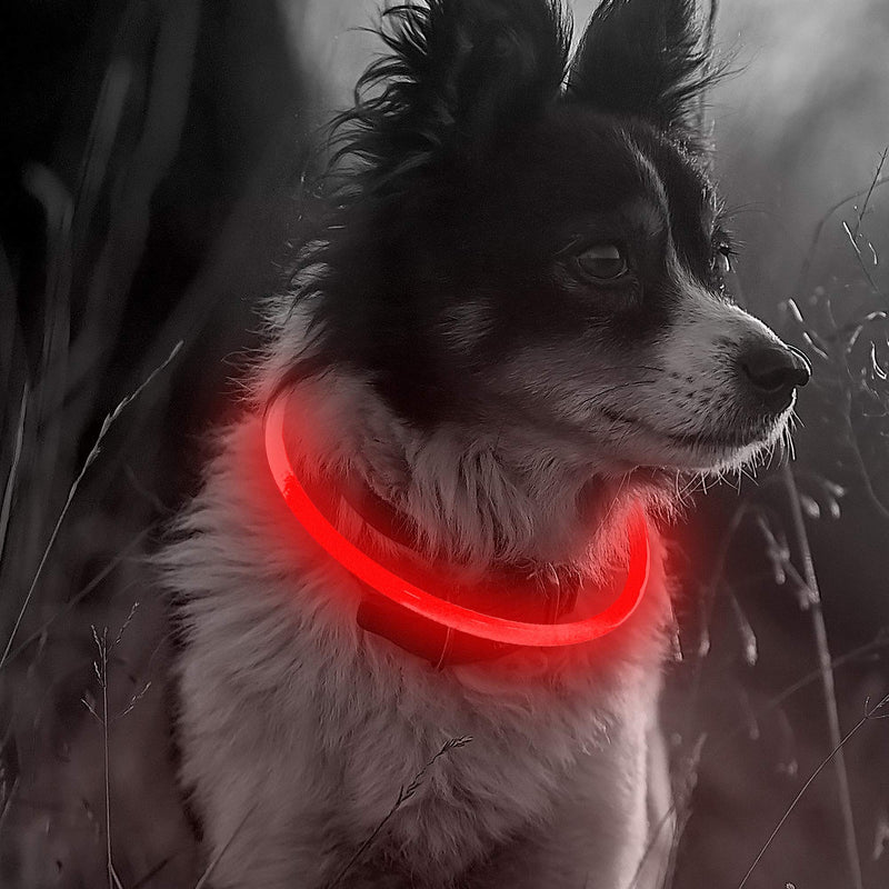 ELANOX LED Dog Collar Rechargeable USB Universal Size Luminous Collar (Red) red - PawsPlanet Australia