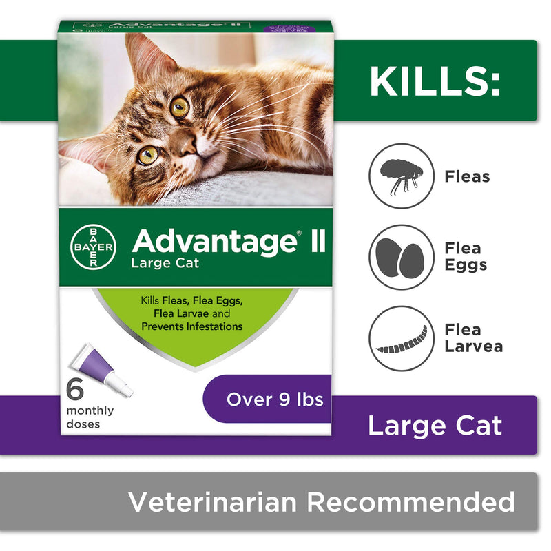 [Australia] - Bayer Advantage II Flea Prevention for Large Cats, Over 9 lbs 6 doses Over 9 lb 