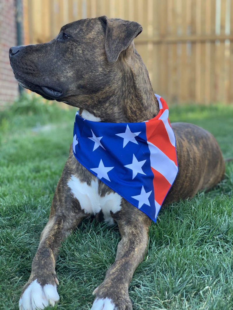 American Flag Dog Bandanas | 3-Pack| 4th of July Bandannas| Red, White and Blue Scarf Set (Flag, Small) - PawsPlanet Australia