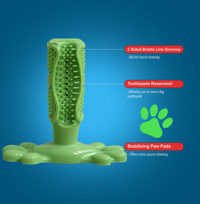 Dog Toothbrush Chew Toy, Puppy Dental Care Teeth Cleaning Stick Toy for All Breed of Dogs - Dog Toothbrush Stick, Dog Teeth Cleaning Chewing Playing Toy, Durable Rubber Dog Teeth Cleaning Green - PawsPlanet Australia