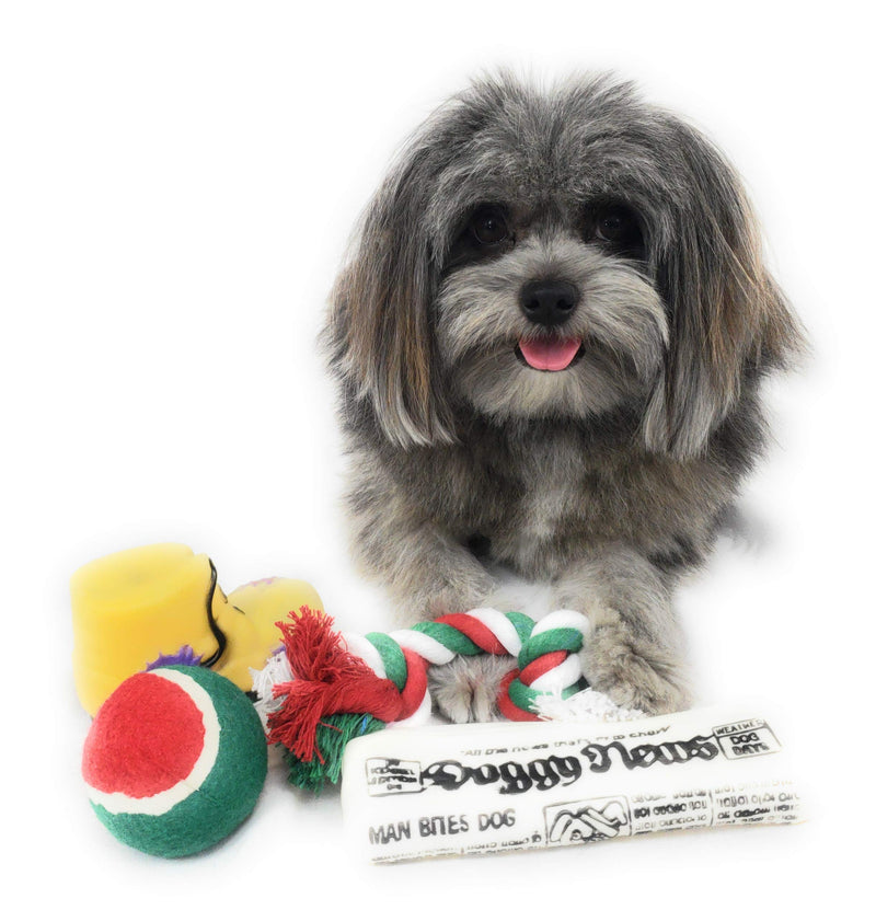 [Australia] - Christmas Stocking for Dogs. Pack of Squeaky newspaper toy, squeaky boot toy, a red, green and white tennis ball and a red, white and green cotton knotted rope. 