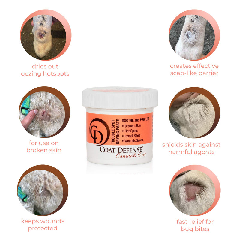 COAT DEFENSE Trouble Spot Drying Paste for Dogs and Cats 5oz | Natural Skin Care for Dogs | Effective Dog Wound Care & Helps Pets with Hot Spots | Protects, Dries, Draws & Calms Itch from Bug Bites - PawsPlanet Australia