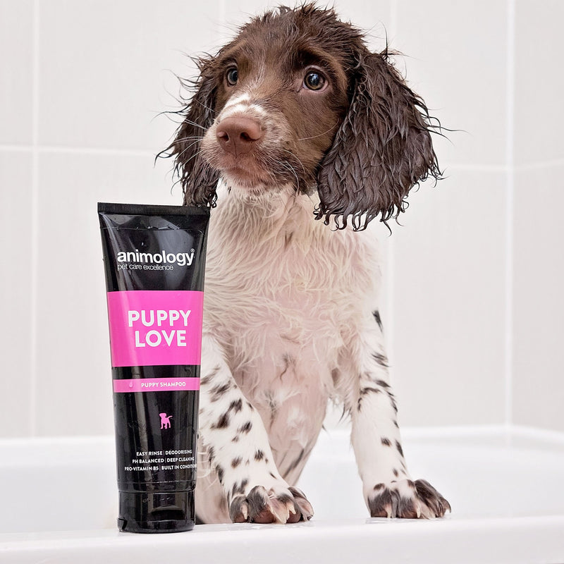 [Australia] - Animology Dog Shampoo Puppy Love Gentle Skin 250ml 