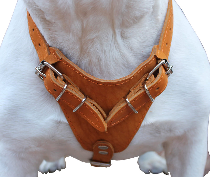 [Australia] - Genuine Leather Dog Harness, 33"-41" Chest, 1" Wide Straps Newfoundland, Great Dane 