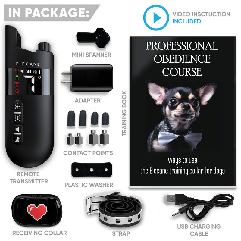 Mini Training Collar for Small Dogs 5-15lbs - Rechargeable Pet Obedience Trainer with Remote Control - Waterproof, 1000-Foot Range - Beeping Sound & Vibration Mode - 6 to 26-Inch Adjustable Strap - PawsPlanet Australia