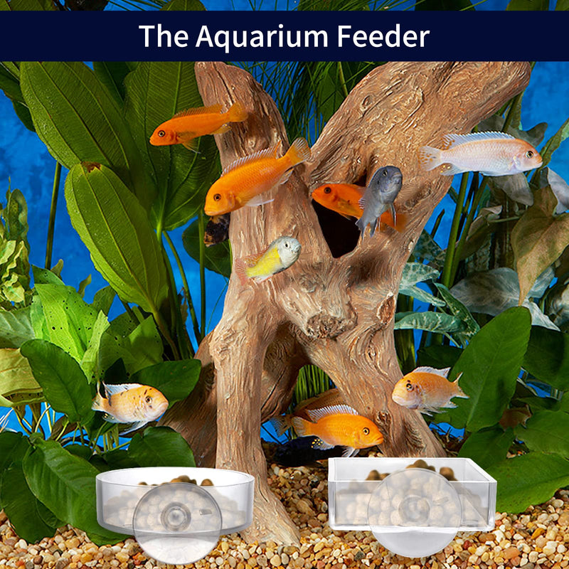 cobee Aquarium Feeding Bowl, 2 Pieces Fish Shrimp Feeding Dish Acrylic Clear Shrimp Feeding Tray Tank Feeding Bowls with Suction Food Water Bowl for Reptiles Shrimp Tropical Fish - PawsPlanet Australia