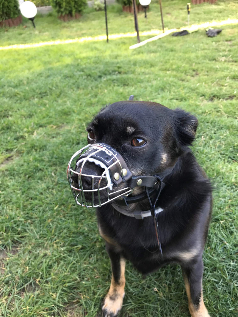 L&J Pets Uk New Wire Basket Dog Muzzle STRONG Metal for Rattler Yorkshire Terrier & other small dogs (Silver Basket / Black Leather, 0), (MK York) Silver Basket / Black Leather - PawsPlanet Australia