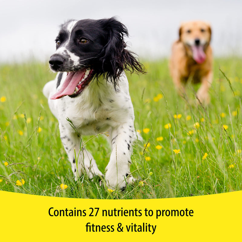 Vetzyme | Once A Day Conditioning Tablets for Dogs, with B Complex Vitamins | Helps Promote Health & Vitality (30 Tablets) - PawsPlanet Australia