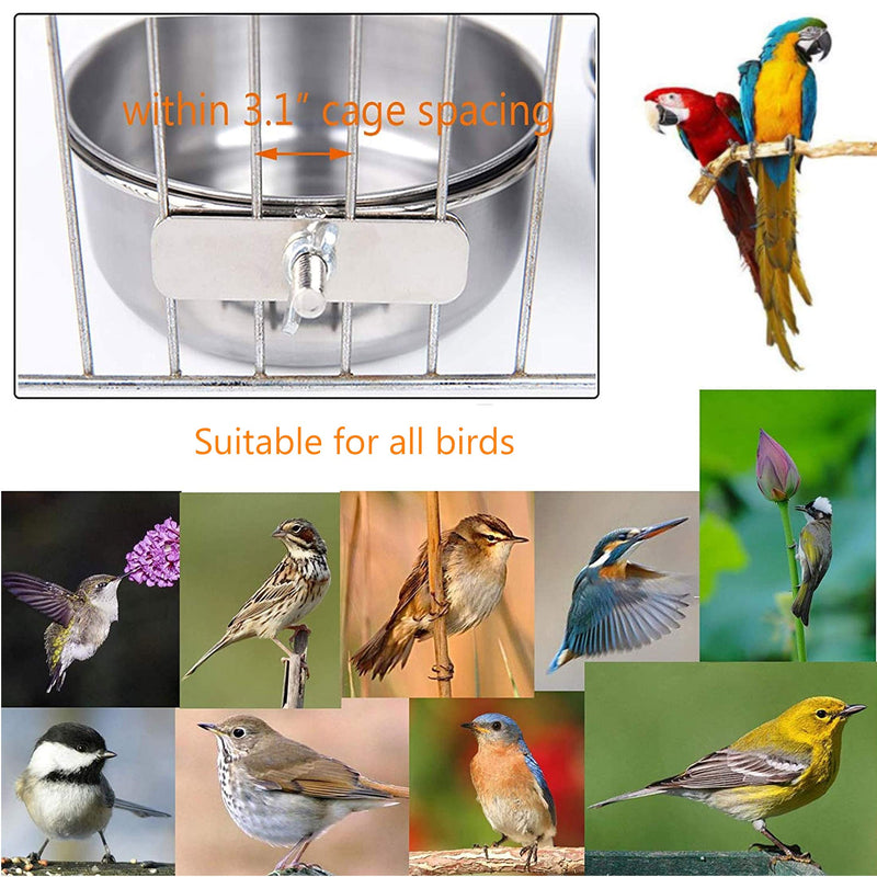 Hamiledyi Parrot Feeding Cups,Birds Food Dish Stainless Steel Parakeet Food Water Bowls Dish Feeder Holder and Fruit Vegetable Holder Chew Ball for Lovebird Budgie(5PCS) - PawsPlanet Australia