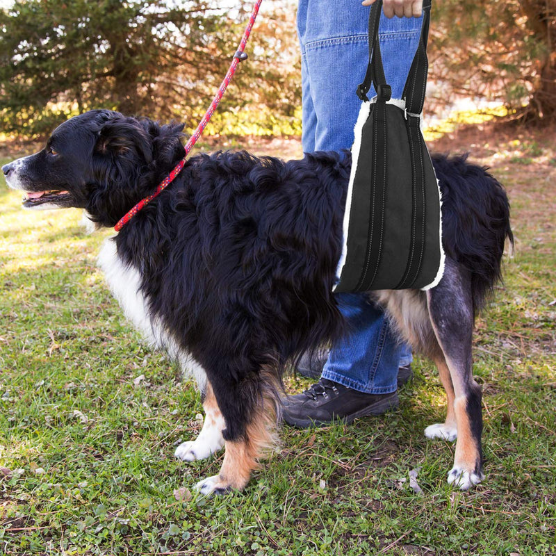 [Australia] - Bolux Portable Dog Sling Rear Legs - Dog Lift Harness for Back Legs, Adjustable Hip Support Harness for Canine Aid Arthritis for Small Medium & Large Dogs Rehab Poor Stability Dogs Walking L Black 