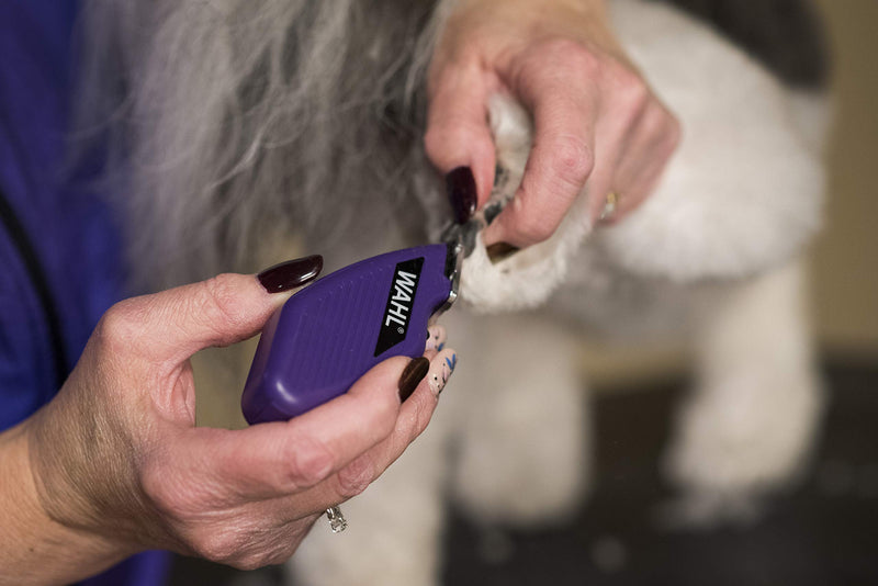 Wahl Professional Animal Pocket Pro Equine Compact Horse Trimmer and Grooming Kit, Purple (#9861-930) - PawsPlanet Australia