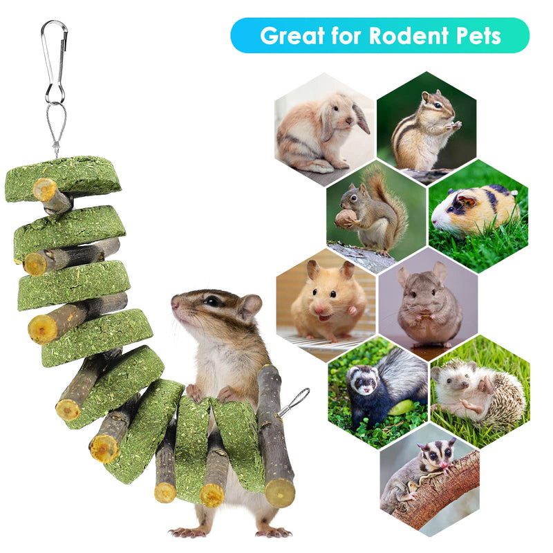 ERKOON Bunny Chew Toys, Rabbit Hamster Guinea Pig Small Animal Boredom Breaker Natural Treat Apple Wood Grass Cake for Syrian Squirrel Parrot Chinchillas Gerbils Rats Molar Playing A - PawsPlanet Australia