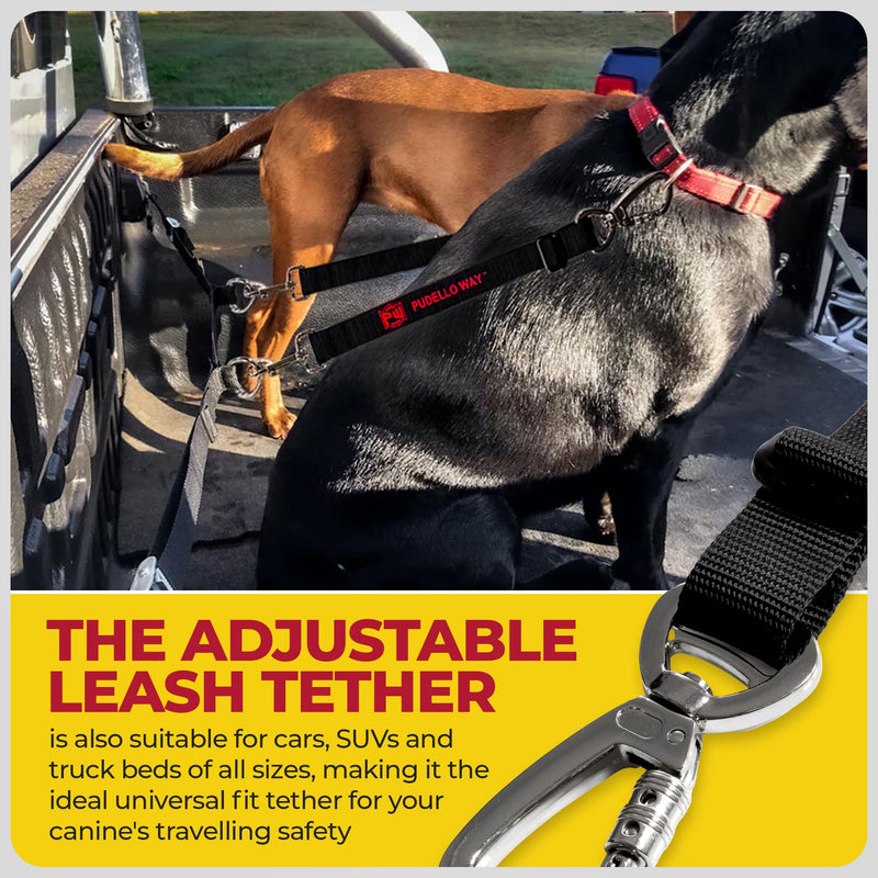 Pudello Way Two Dog Truck Bed Cross Tether - Canine Tie Down System - Adjustable Double Safety Leash for Car, SUV or Truck Bed for Dogs - Includes Pair of Pet Grooming Gloves - PawsPlanet Australia
