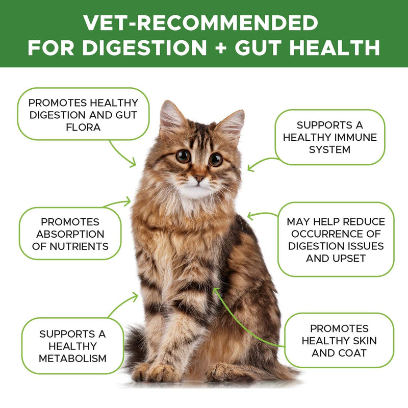 PetHonesty Digestive Probiotics+ for Cats - Bowel Support, Digestive Supplement, Probiotic for Cats, Helps Relieve Cat Diarrhea and Constipation, Supports Digestion, Allergy, Immunity & Overall Health - PawsPlanet Australia