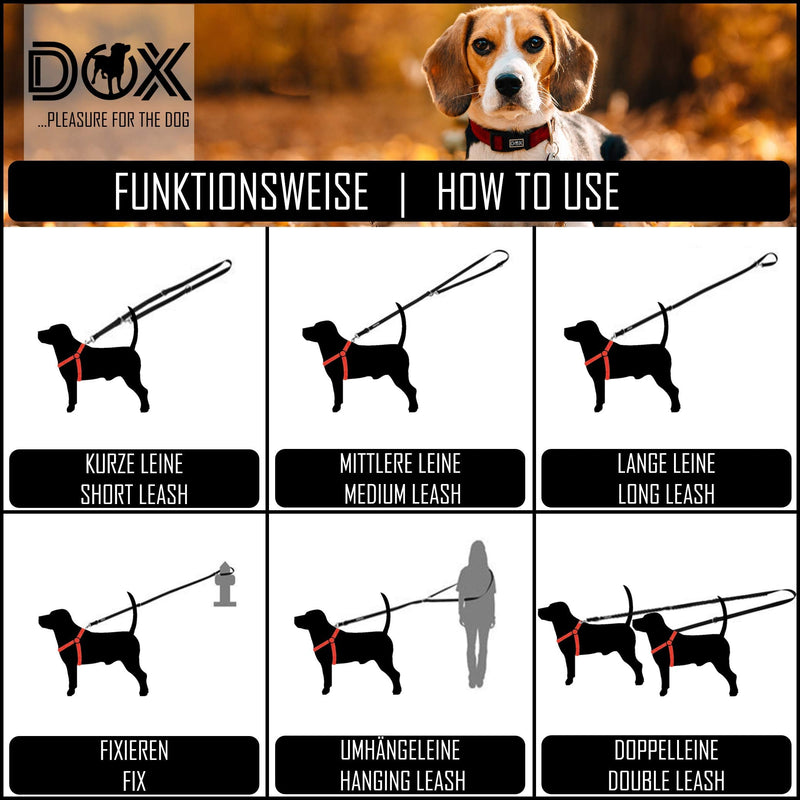 DDOXX dog leash nylon, reflective, 3-way adjustable, 2m | for small & large dogs | Double Leash Two Dog Cat Puppy | Towing leash | Lead leash | Running leash puppy leash | S, Purple Violet S - 1.5 x 200 cm - PawsPlanet Australia