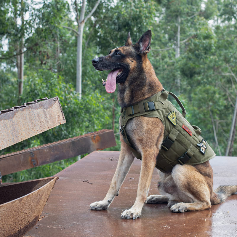 OneTigris Dog Harness, X Destroyer Tactical Harness Dog 3 Handles Heavy Duty Dog Vest with Metal Buckles - Green S Ranger Green - PawsPlanet Australia