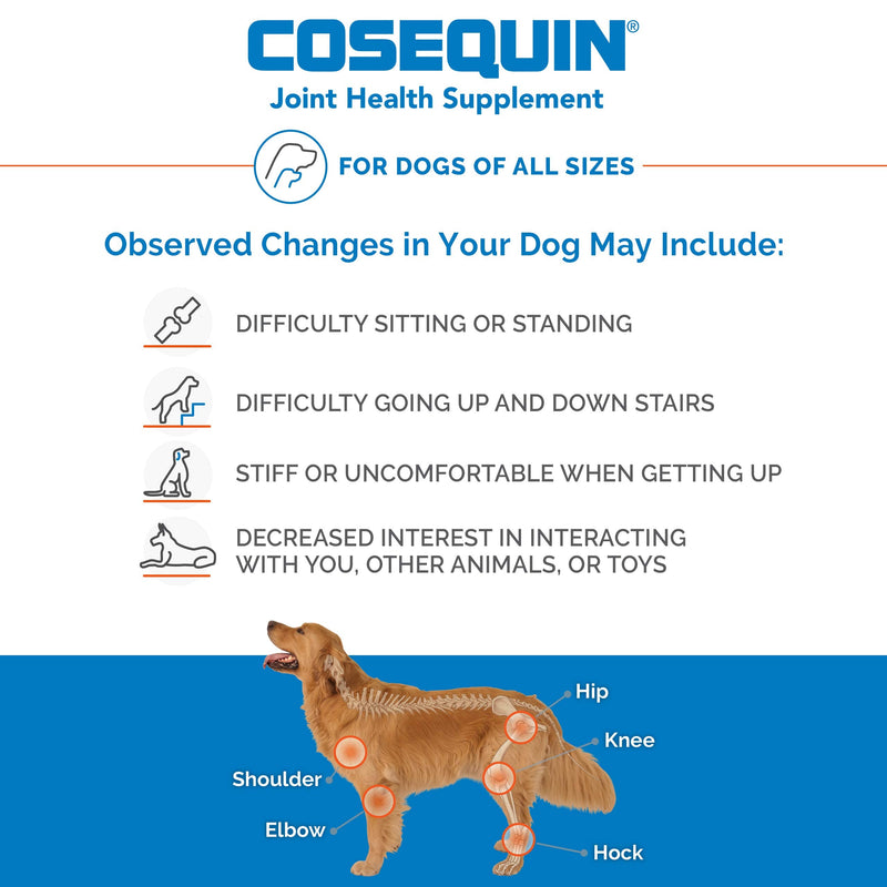 Nutramax Cosequin Joint Health Supplement for Dogs - With Glucosamine, Chondroitin, MSM, and Omega-3 for Healthy Skin and Coat, 120 Soft Chews - PawsPlanet Australia