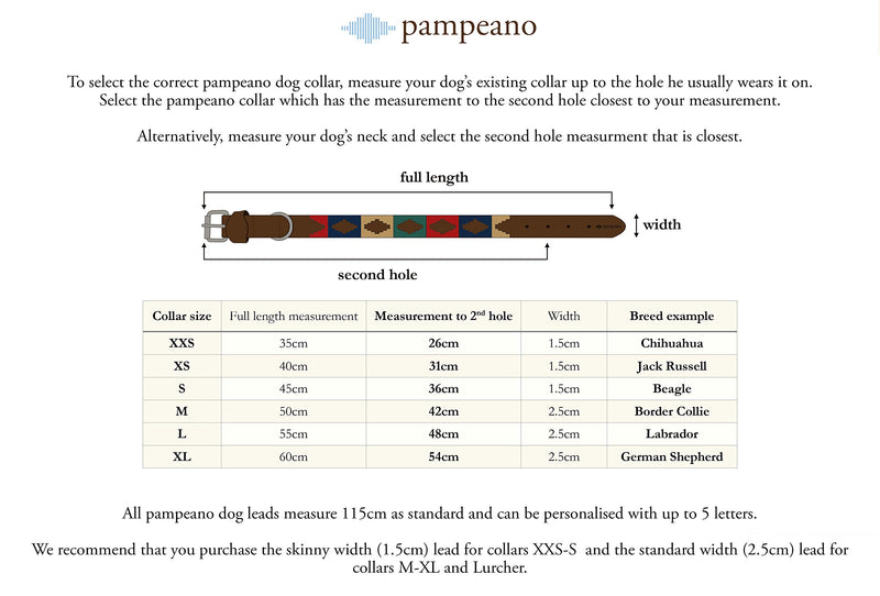 Petalo Premium Argentine Leather Handcrafted Polo Dog Collar - Gift Boxed by pampeano | Collars for all Breeds | 2.5cm Wide, Top Grain Brown Leather Stainless Steel Buckle L/ 55cm - PawsPlanet Australia