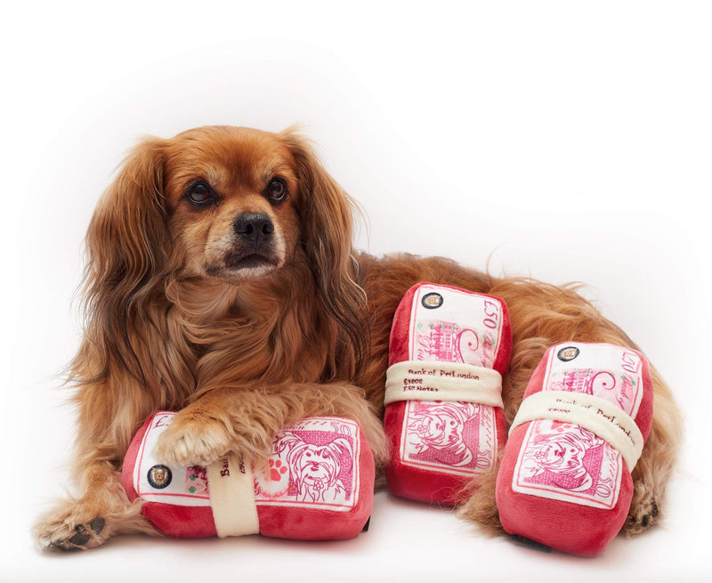 Pet London Doggie Dough Plush Dog Toy - Red Rose Realistic British Bank Note - 7" - PawsPlanet Australia