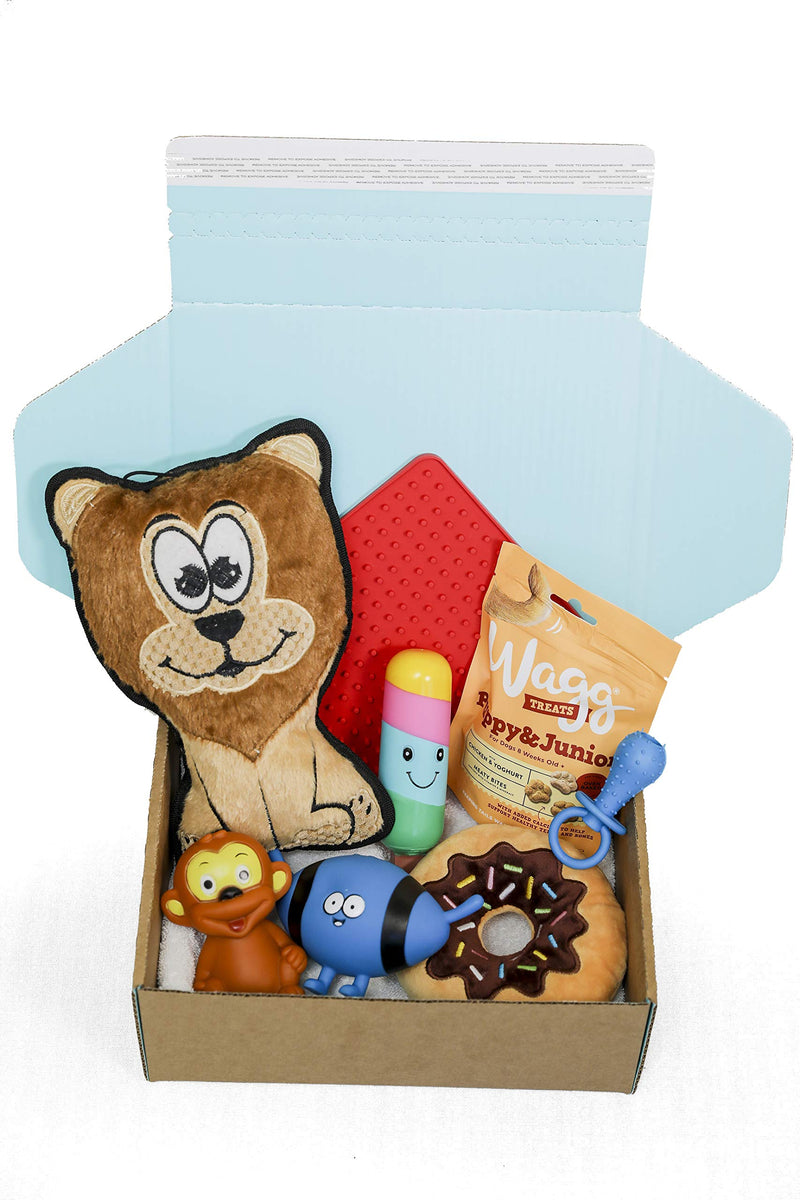 Dog Gift Box Hamper | Dog Hamper | Dog Treats | Dog Toys | Dog Birthday Present Box | Dog Box | Get well soon | Gotcha Day | Dog Gift | Blue Box | puppy Gift Set - PawsPlanet Australia