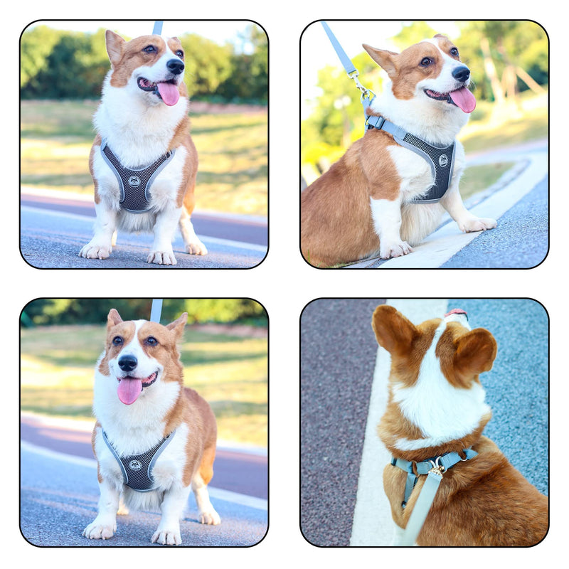 Coolzon Dog Harness Medium Dogs Breathable Chest Harness Adjustable Anti Pull Harness Reflective Safety Harness Running Walking Jogging Black (M) M - PawsPlanet Australia