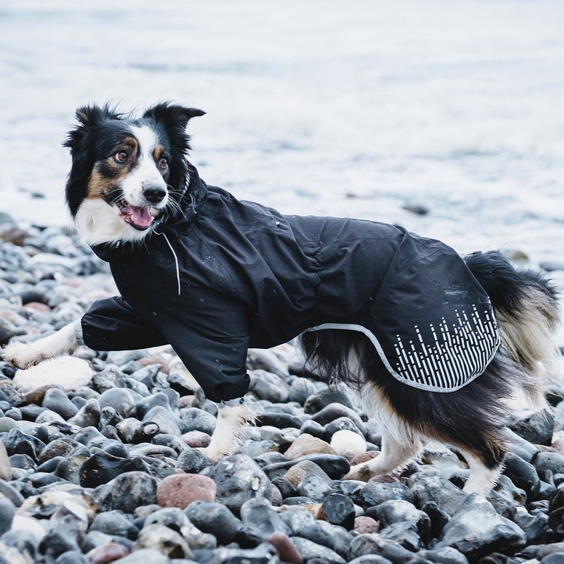 [Australia] - Hurtta Dog Raincoat 12 in Stream 