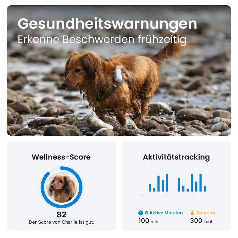Tractive GPS Tracker for Dogs | Recommended by Martin Rütter | Worldwide live tracking | Runaway alarm | Health Alerts & Activity Tracking | Multiple test winner One Size Single - PawsPlanet Australia