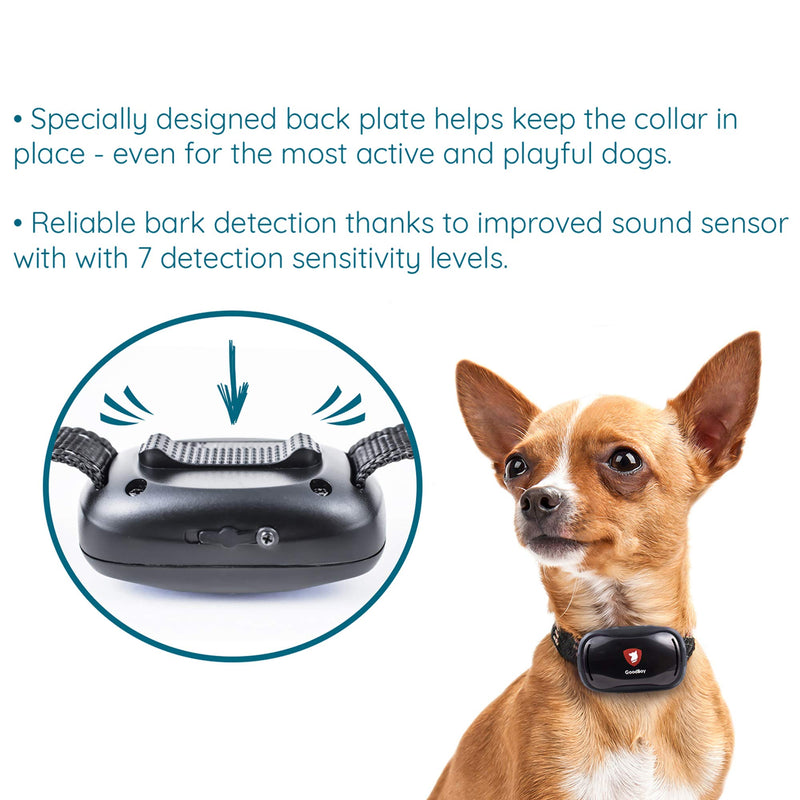 Small Dog Bark Collar by GoodBoy Rechargeable And Weatherproof Vibrating Bark Deterrent for Small And Medium Dogs Is Smallest & Most Safe On Amazon - No Spiky Prongs! (2,5+kg) - PawsPlanet Australia