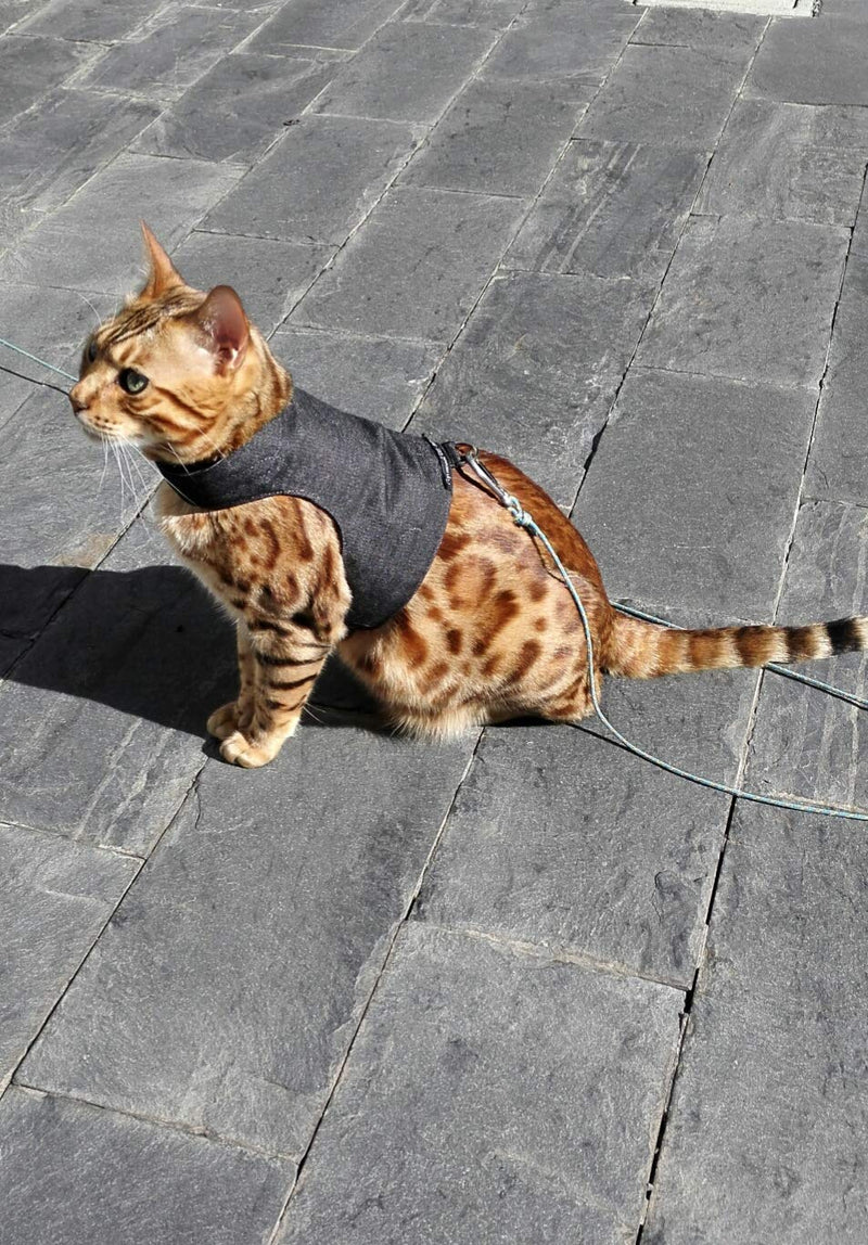 Mynwood Cat Jacket/Harness Black Denim Adult Cat - PawsPlanet Australia