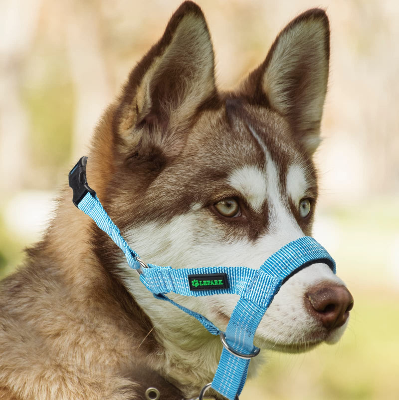 Dog halter with silk thread, soft and adjustable dog halter for dogs in striped pattern (M, blue) M - PawsPlanet Australia