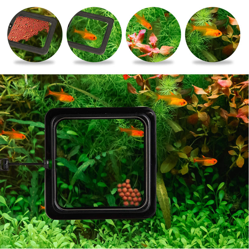 ZRDR Fish Feeding Ring, 2 Pack Black Aquarium Floating Food Feeder Circle Small Round and Square with Flexible Lever Suitable and Suction Cup, Reduces Fish Feeder Waste and Maintains Water Quality - PawsPlanet Australia