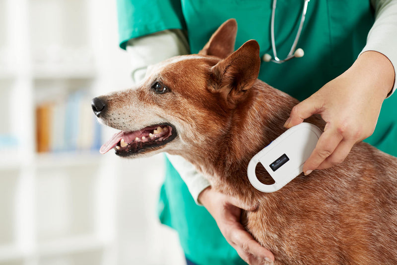 OUTPAW animal chip reader chip reader for animals RFID chip microchip animals ISO transponder for animal identification - PawsPlanet Australia