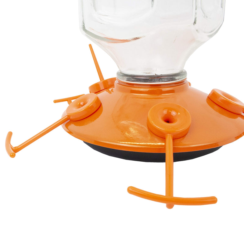 Perky-Pet 9113-2 Top-Fill Glass Oriole Feeder – 22 Oz - PawsPlanet Australia