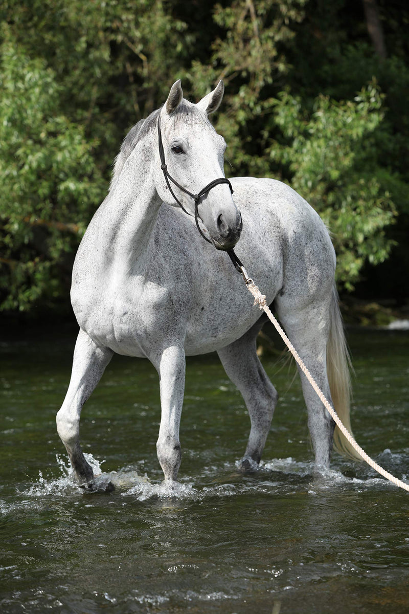 Natural Horsemanship Rope Halters Headcollars For Parelli Training in 11 Sizes - Miniature, Foal, Shetland, Weanling, Pony, Cob, Arab, Full Horse, Extra Full & Draft/Draught 01. Miniature Foal White - PawsPlanet Australia