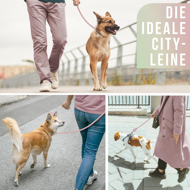 ne&no rope leash for dogs 1.7m I training leash I dog leash robust I round lead, braided I hand strap I rope leash dog I city leash I dog leash (mauve, 170 cm) MAUVE - PawsPlanet Australia