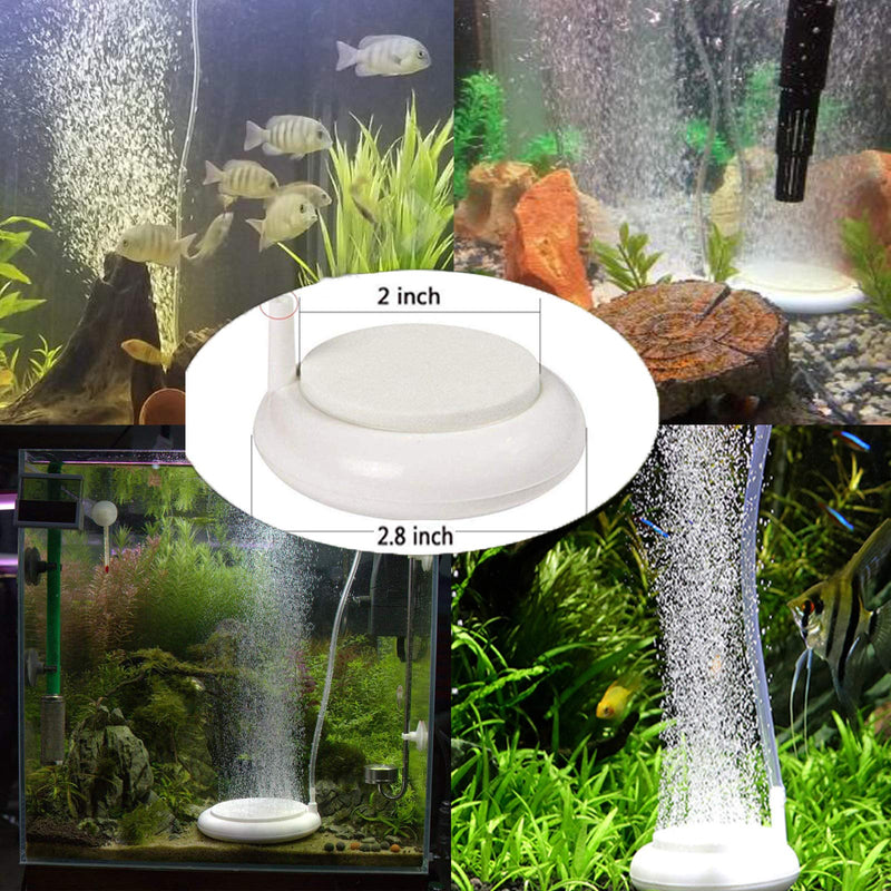 Nano Aquarium Air Stone with Control Valve 78inch Airtube Fish Tank air Bubbler High Dissolved Oxygen Diffuser for Hydroponics Plant Growth Shrimp Turtle Tank - PawsPlanet Australia