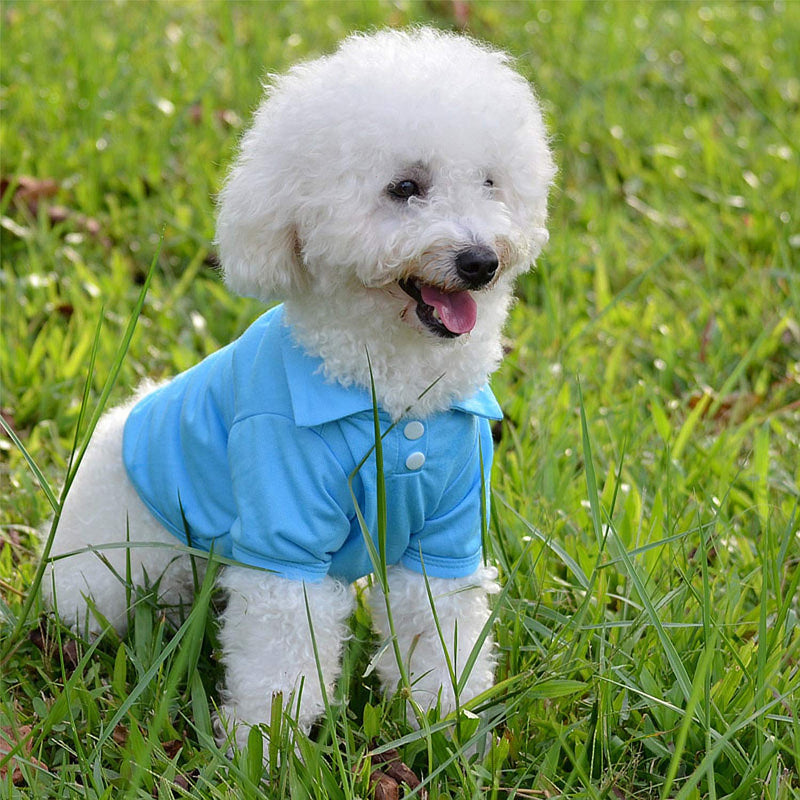 CAISANG Dog Shirts Puppy Clothes for Small Dogs Boy, Pet T-Shirts Doggy Vest Apparel, Comfortable Summer Shirts Beach Wear Clothing, Outfits for Medium Dog Kitty Cat, Cotton Tank Top X-Small Blue - PawsPlanet Australia