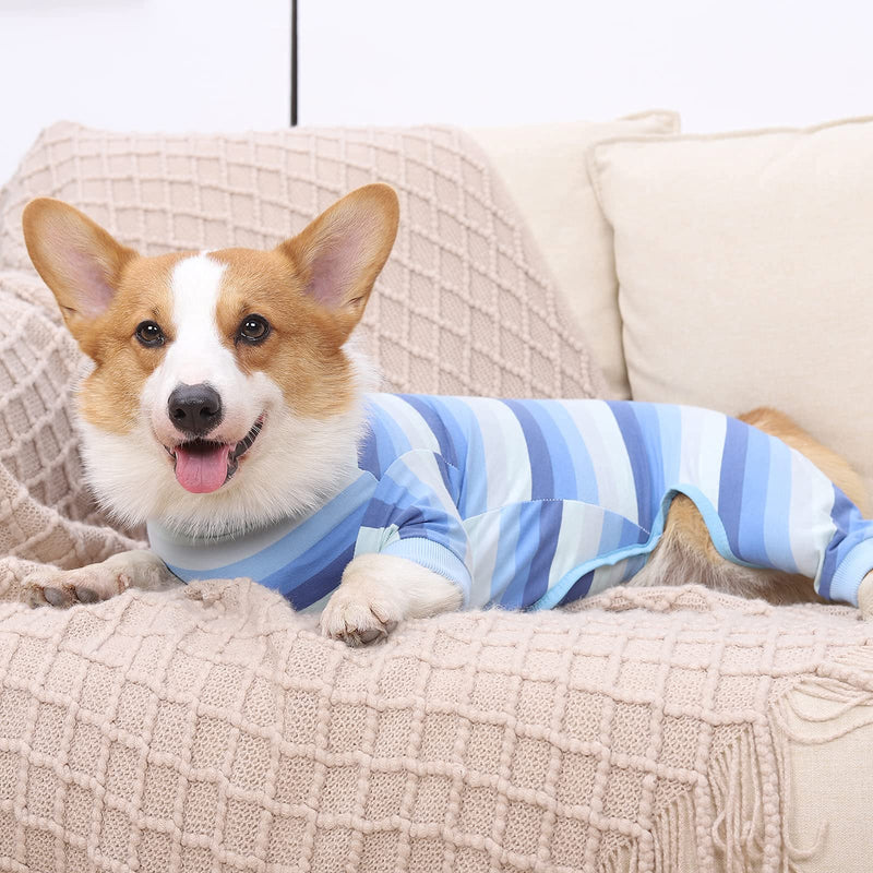 Hipet Dog Onesie After Surgery Dog Surgical Recovery Suit Female Male for Abdominal Wounds, Bodysuit With Sleeve Prevent Licking Biting Shedding E-Collar Alternative Pajamas For Small Medium Dog S Blue - PawsPlanet Australia